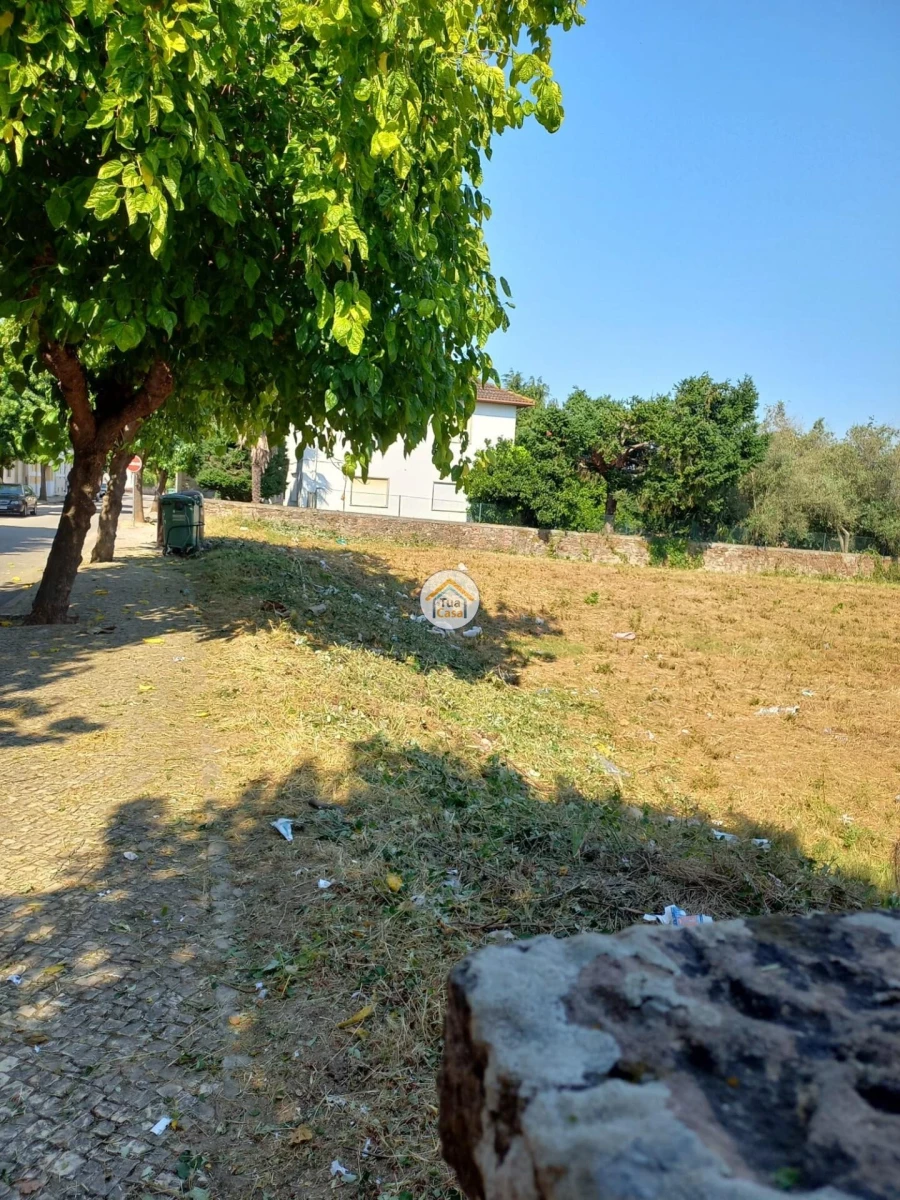 Terreno para Venda em Lousã e Vilarinho Foto 4