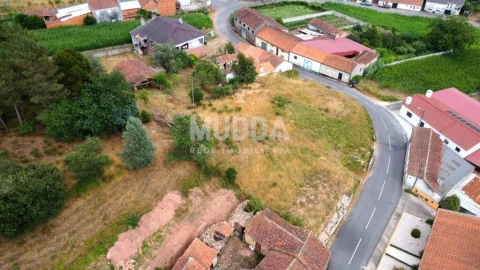 Terreno para Venda em São João de Loure e Frossos