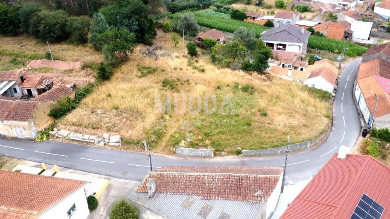 Terreno para Venda em São João de Loure e Frossos Foto 2