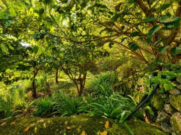 Moradia T3 para Venda em São Vicente