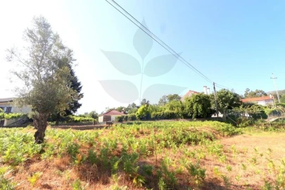 Terreno para Venda em Anais