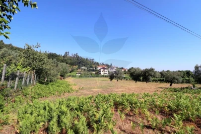 Terreno para Venda em Anais