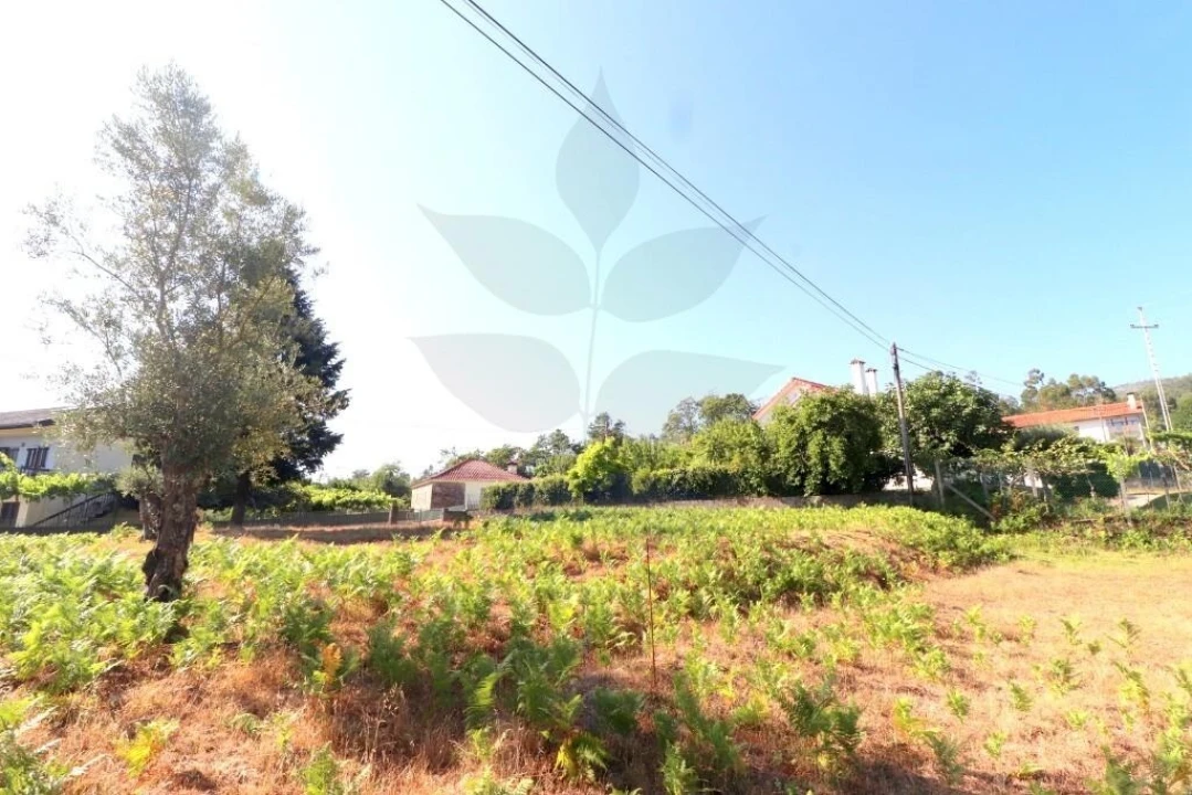 Terreno para Venda em Anais Foto 6