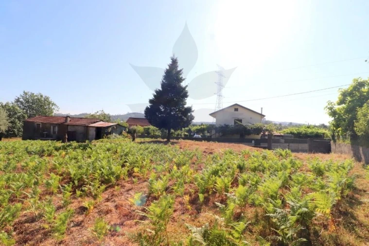 Terreno para Venda em Anais Foto 9