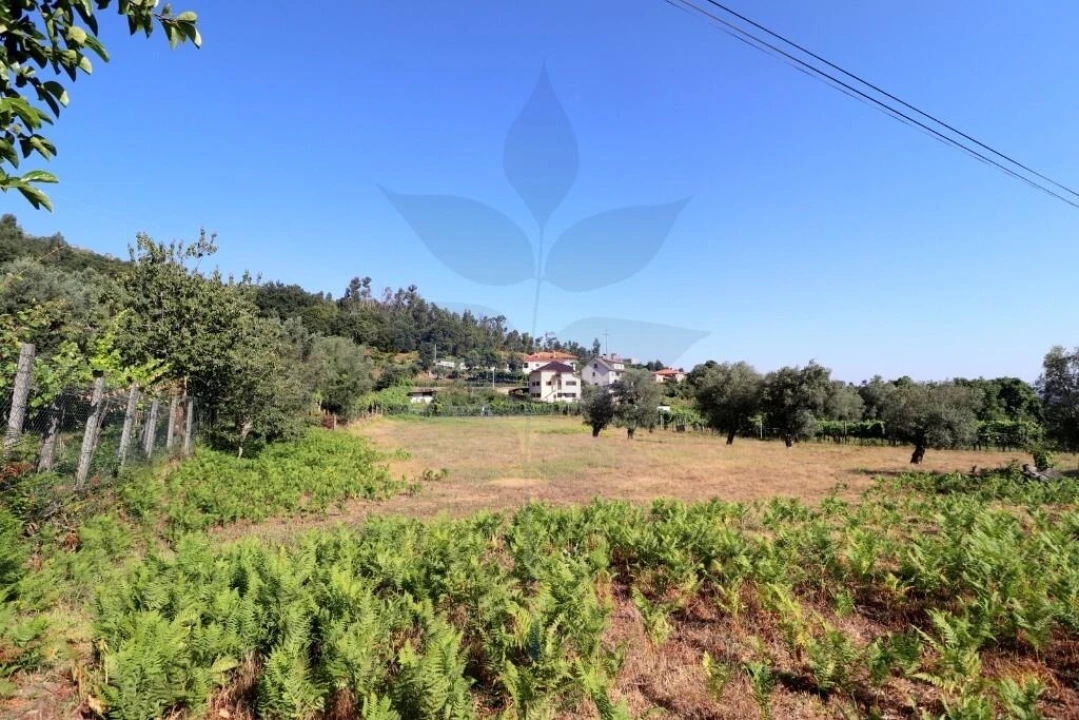 Terreno para Venda em Anais Foto 8