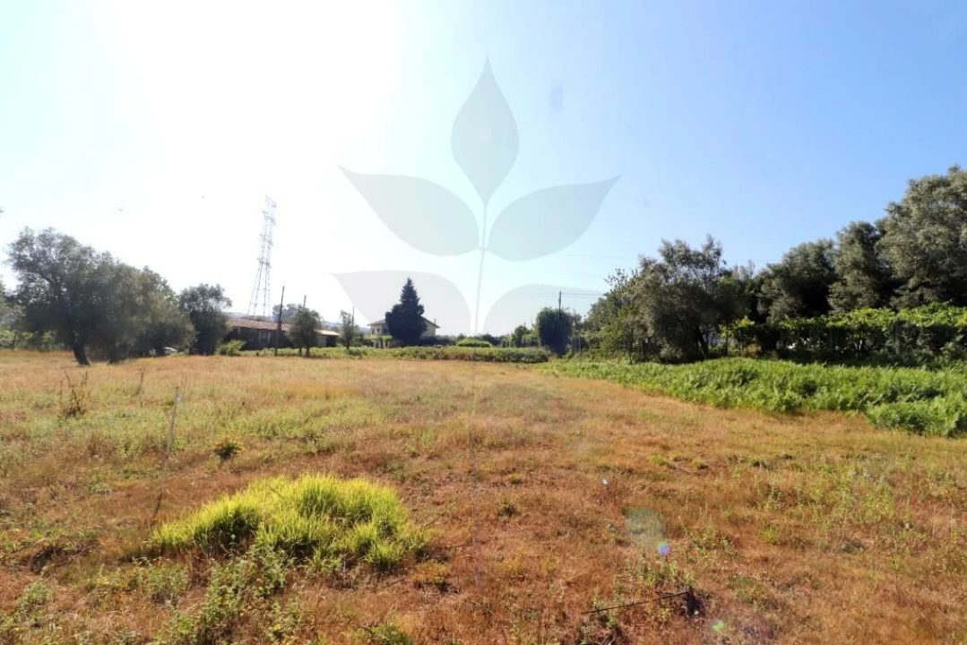 Terreno para Venda em Anais Foto 4