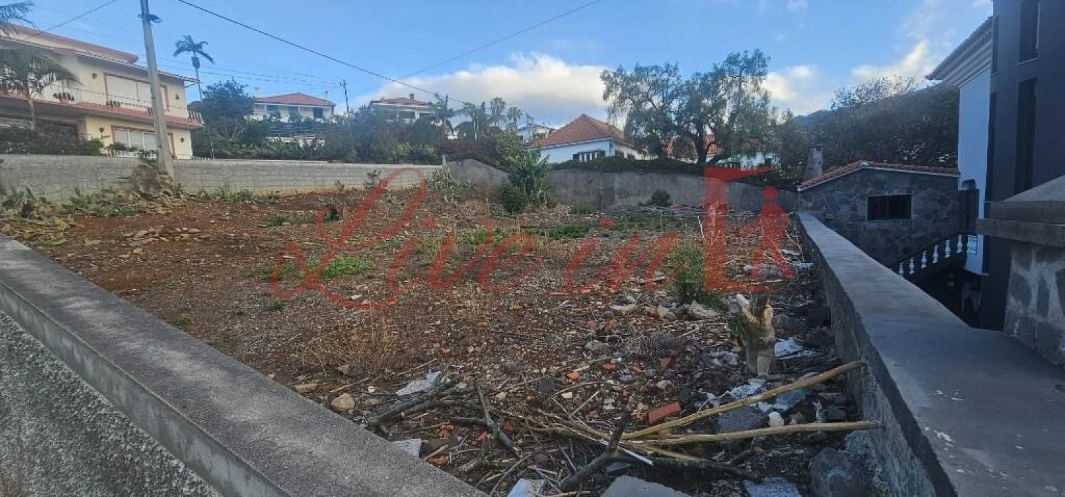 Terreno para Venda em São Martinho Foto 15