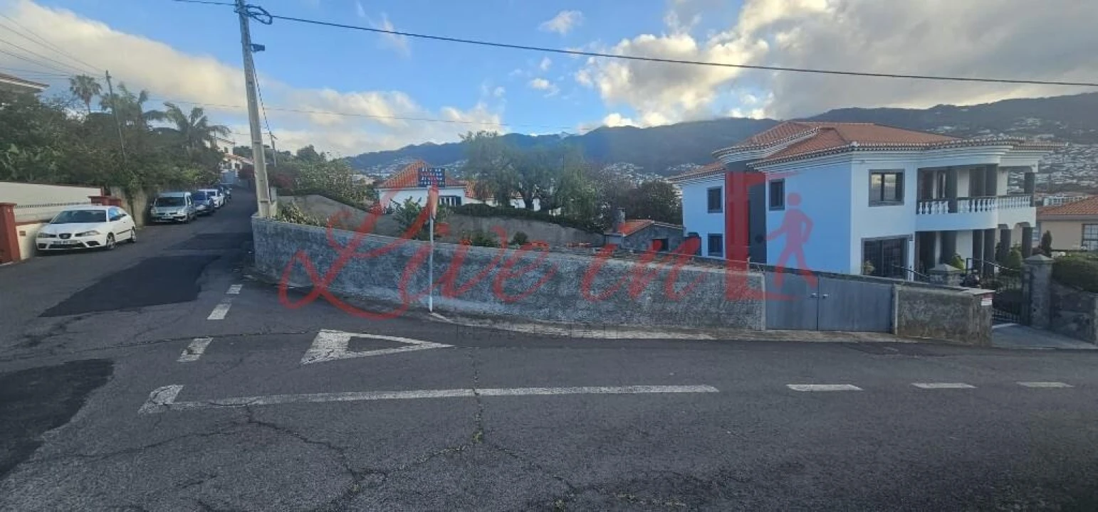 Terreno para Venda em São Martinho Foto 11