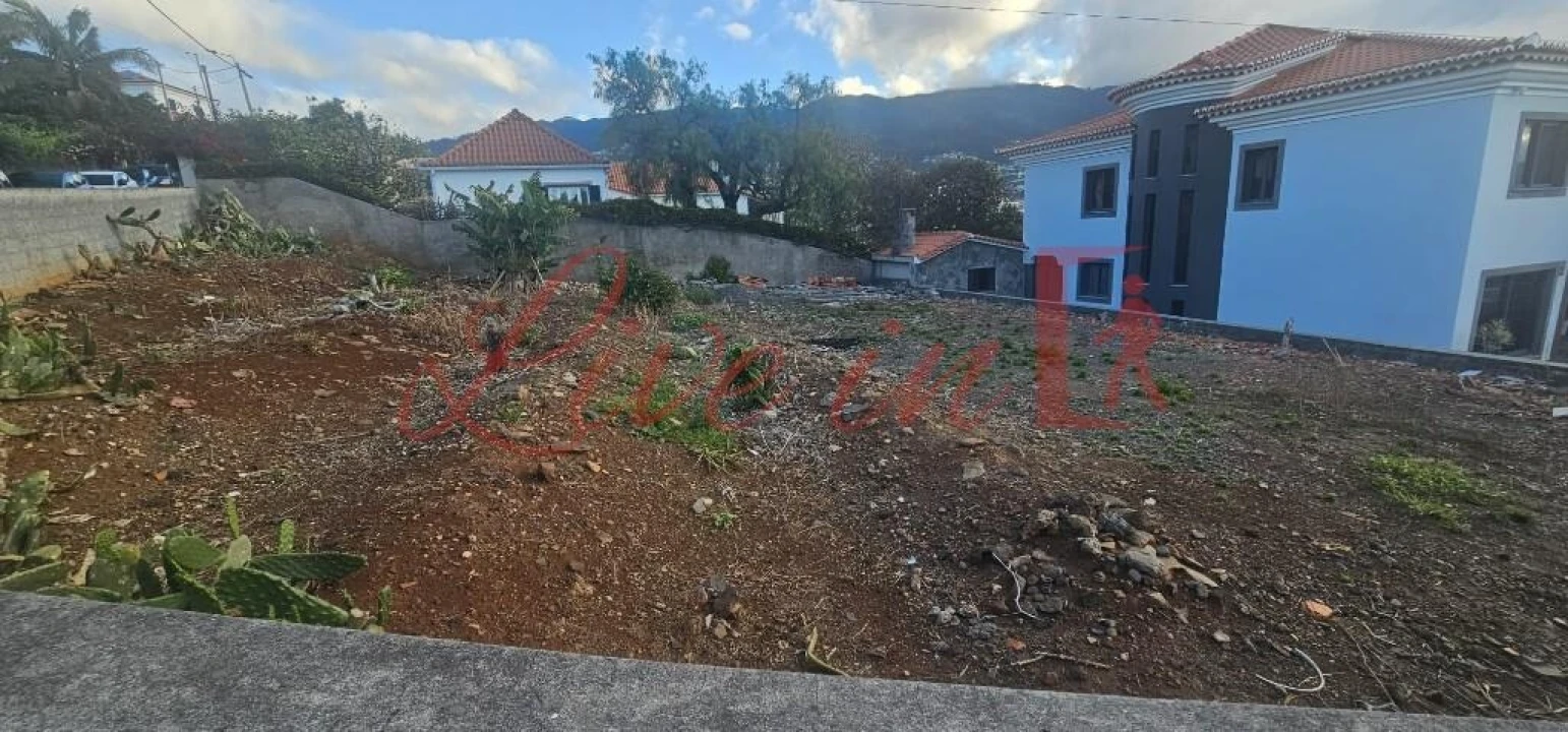 Terreno para Venda em São Martinho Foto 14