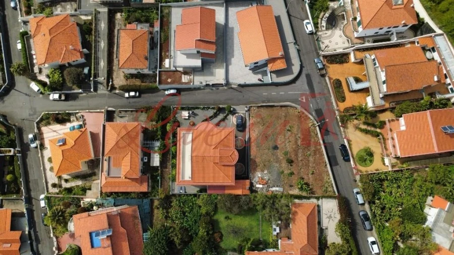 Terreno para Venda em São Martinho Foto 6