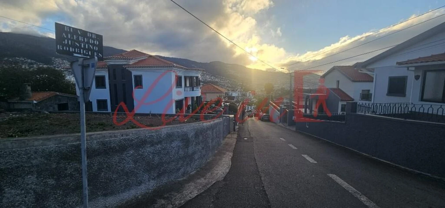 Terreno para Venda em São Martinho Foto 12