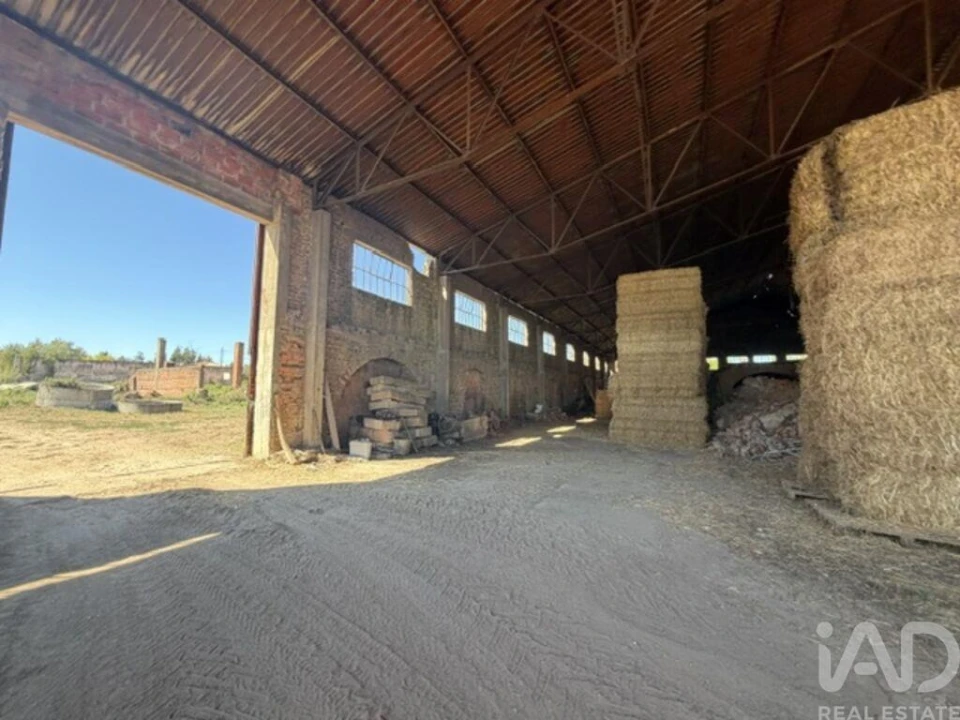 Armazém para Venda em Canas de Santa Maria Foto 24