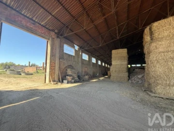 Armazém para Venda em Canas de Santa Maria