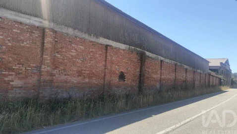Armazém para Venda em Canas de Santa Maria