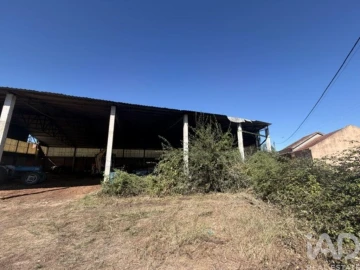 Armazém para Venda em Canas de Santa Maria