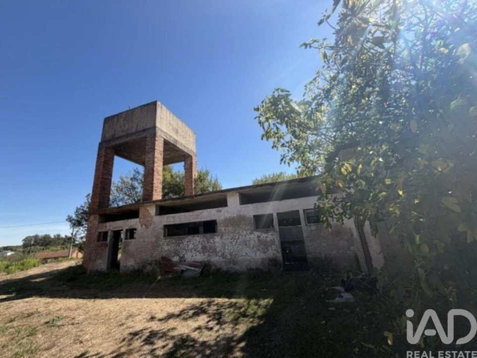 Armazém para Venda em Canas de Santa Maria Foto 26