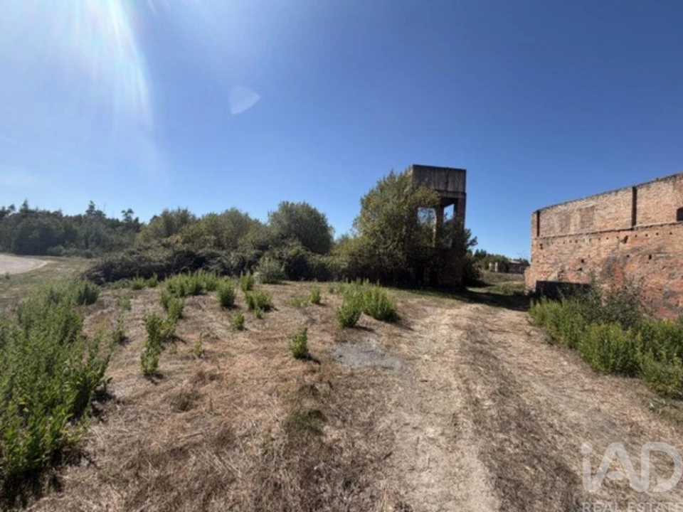 Armazém para Venda em Canas de Santa Maria Foto 29