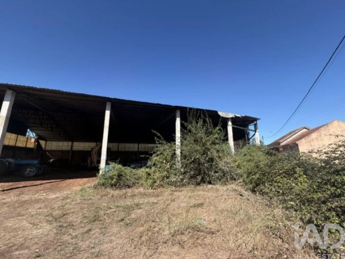 Armazém para Venda em Canas de Santa Maria Foto 22