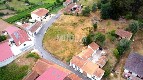 Terreno para Venda em São João de Loure e Frossos