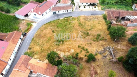 Terreno para Venda em São João de Loure e Frossos