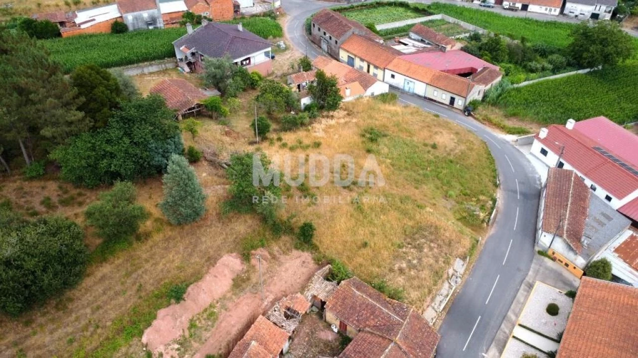 Terreno para Venda em São João de Loure e Frossos Foto 11