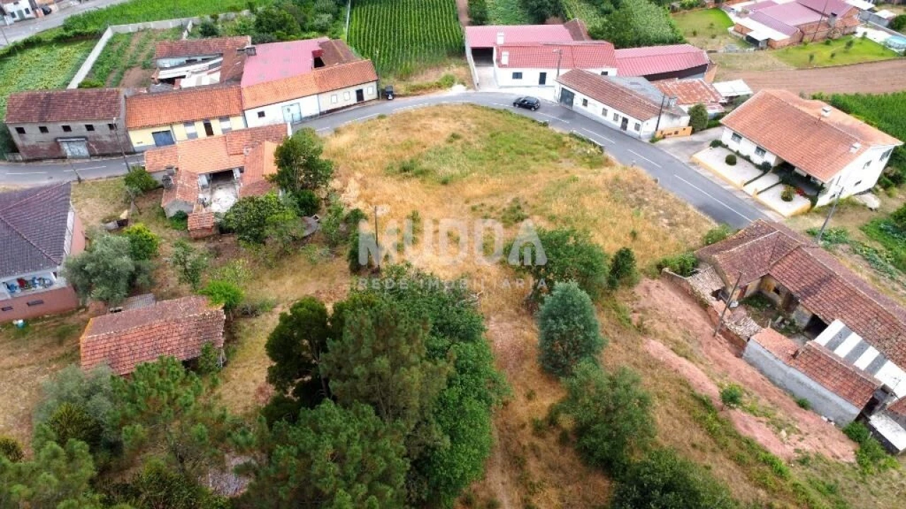 Terreno para Venda em São João de Loure e Frossos Foto 9