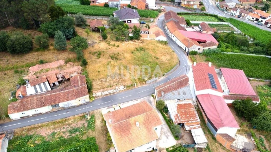 Terreno para Venda em São João de Loure e Frossos Foto 3
