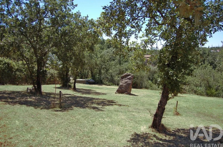 Moradia T3 para Venda em Almoster Foto 37