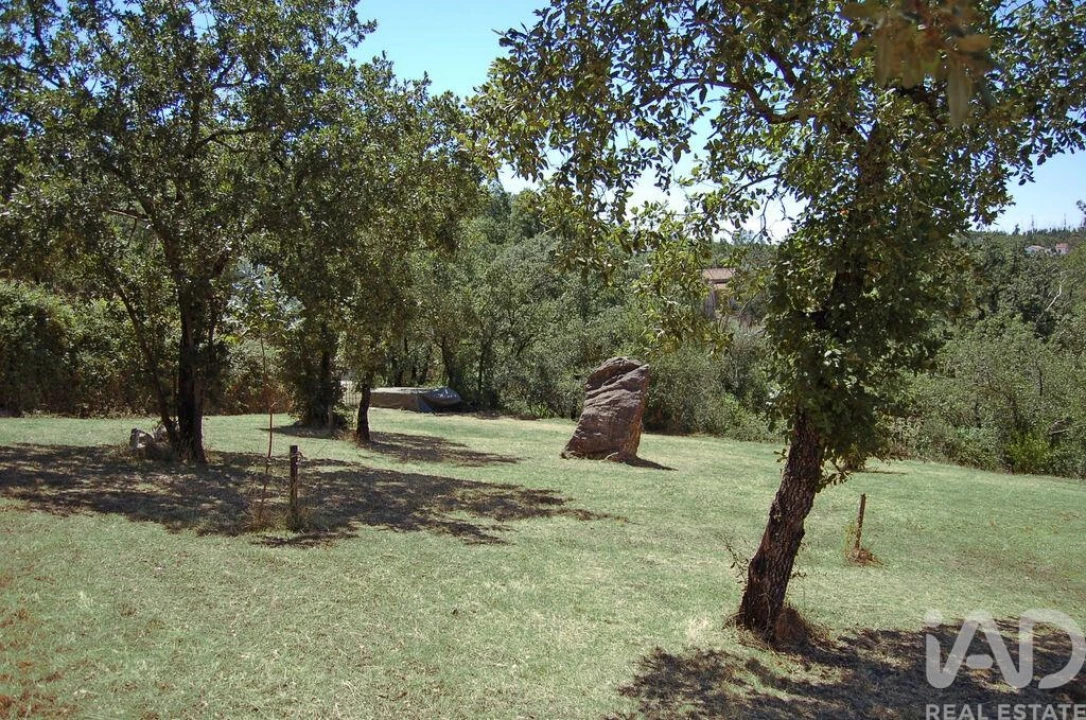Moradia T3 para Venda em Almoster Foto 37