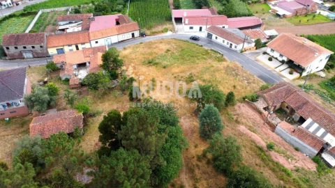 Terreno para Venda em São João de Loure e Frossos