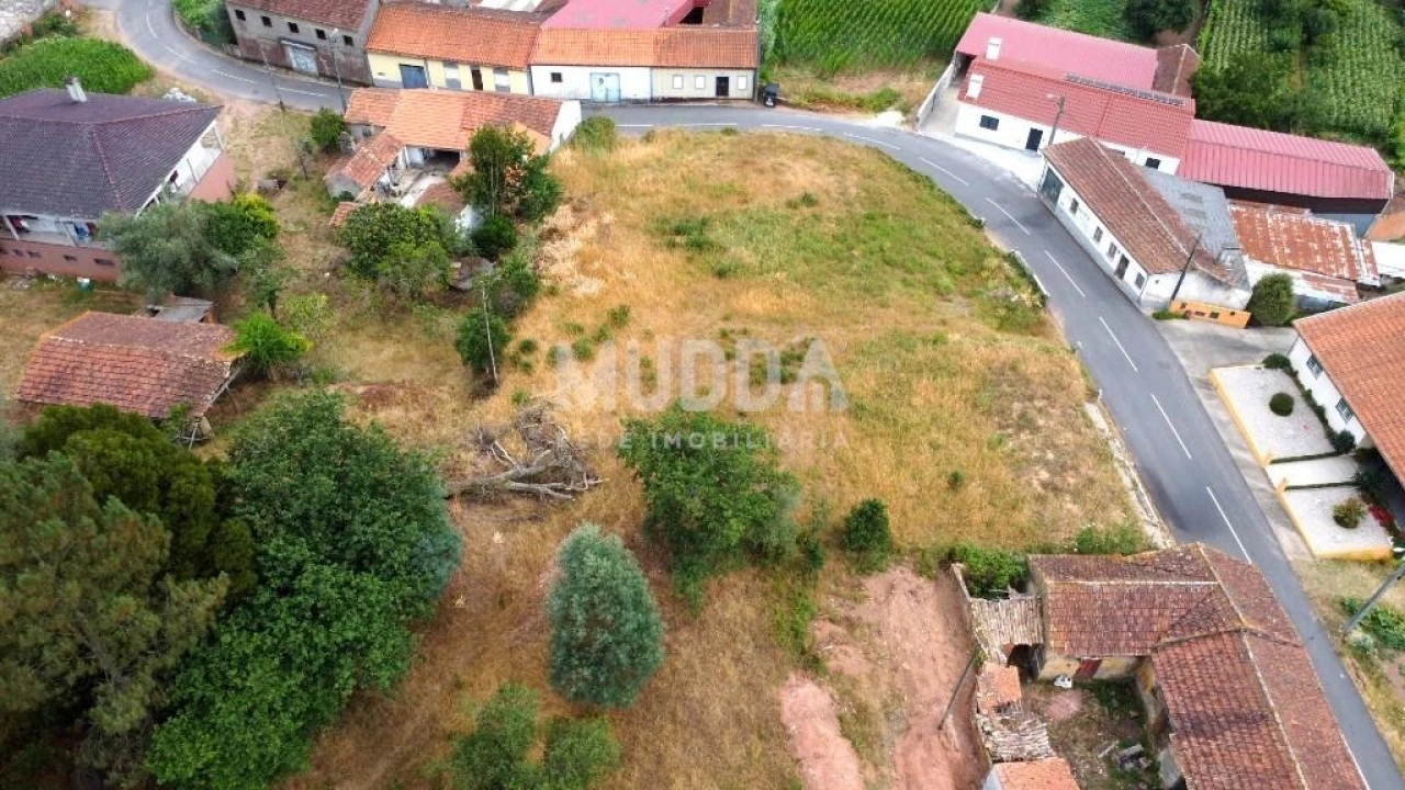 Terreno para Venda em São João de Loure e Frossos Foto 10