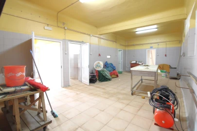 Negócio para Venda em Redondo