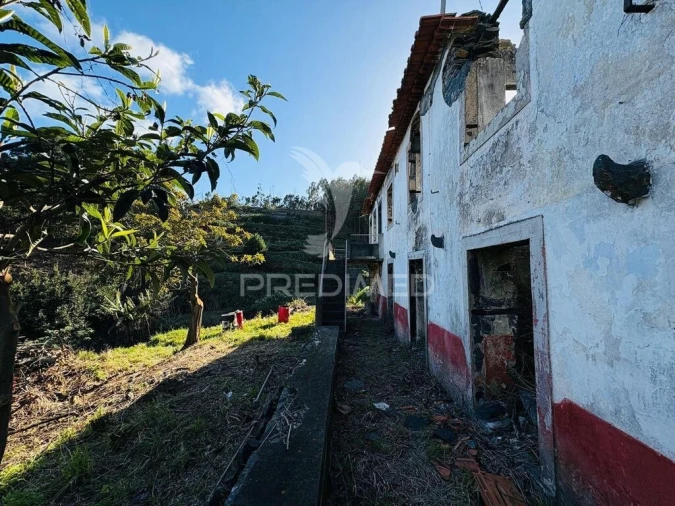 Quinta T4 para Venda em Gaula Foto 4