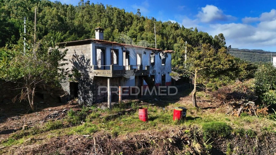 Quinta T4 para Venda em Gaula Foto 9