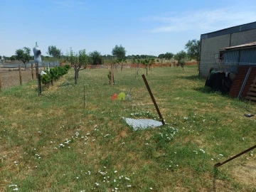Armazém para Venda em Vimieiro