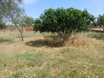 Armazém para Venda em Vimieiro