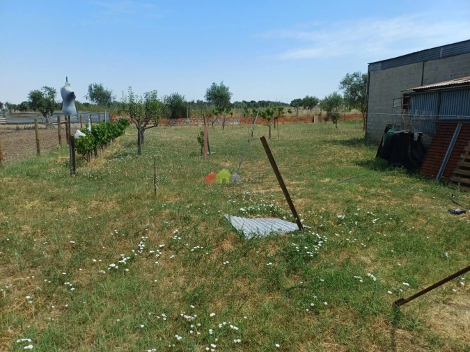 Armazém para Venda em Vimieiro Foto 4