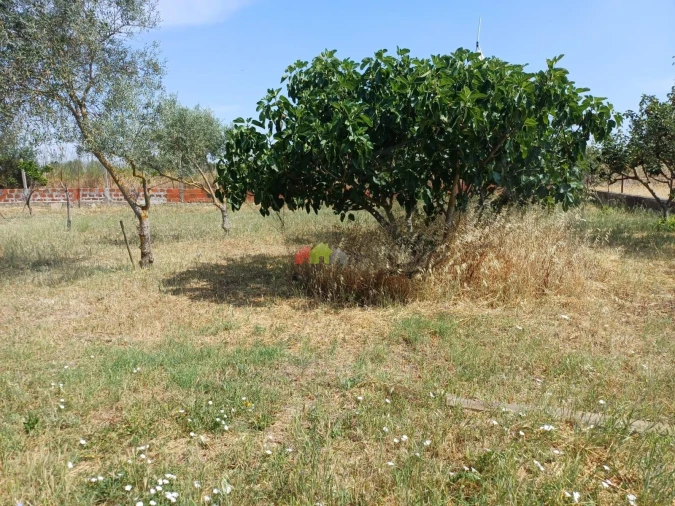 Armazém para Venda em Vimieiro Foto 5