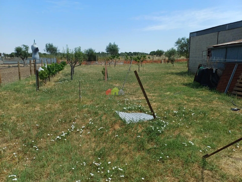 Armazém para Venda em Vimieiro Foto 4