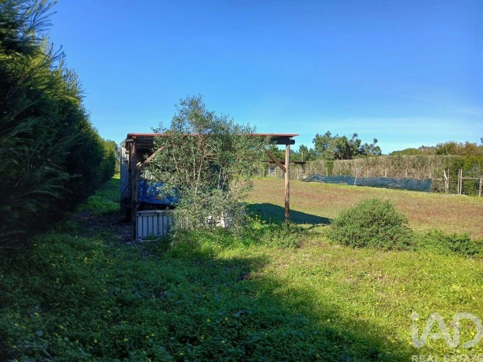 Terreno para Venda em Vila Nova de Milfontes Foto 5