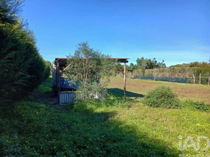 Terreno para Venda em Vila Nova de Milfontes Foto 5
