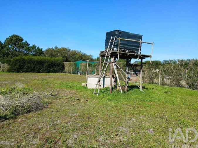 Terreno para Venda em Vila Nova de Milfontes Foto 6