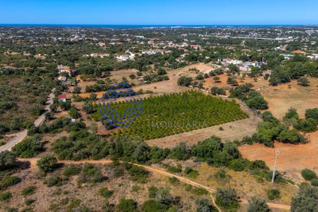 Terreno para Venda em Almancil Foto 19