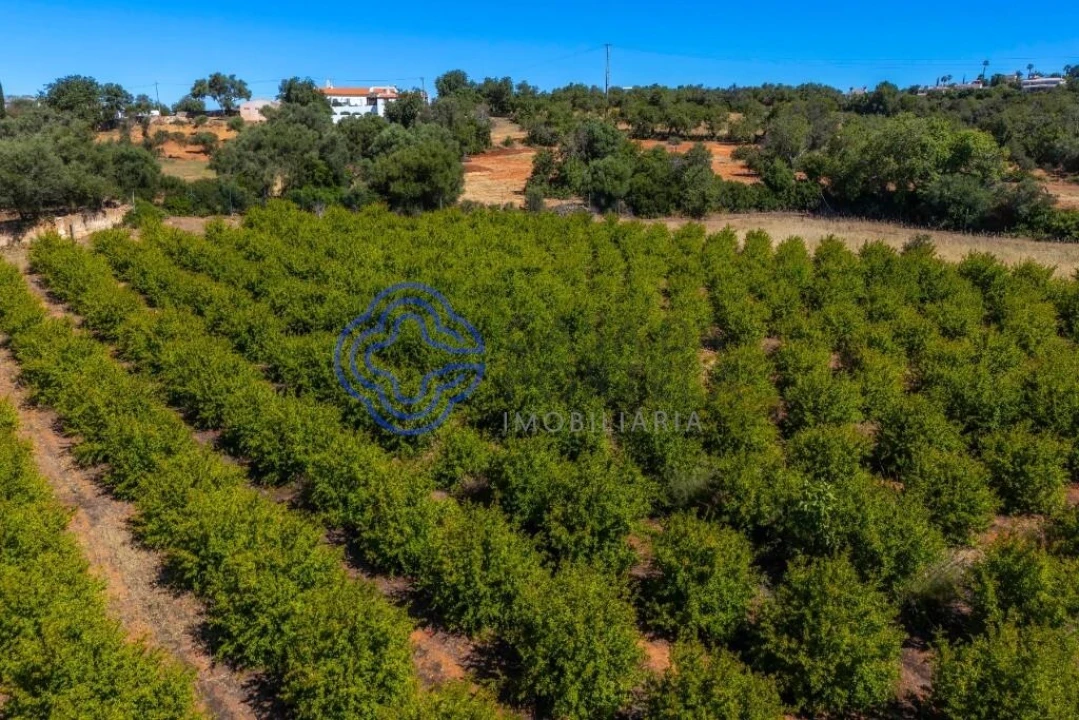 Terreno para Venda em Almancil Foto 25
