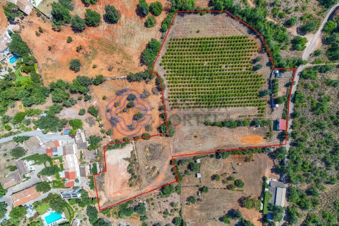 Terreno para Venda em Almancil Foto 14