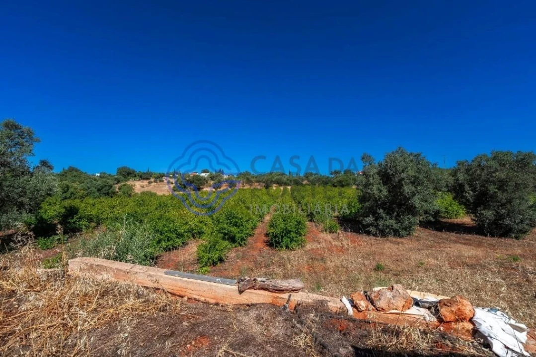 Terreno para Venda em Almancil Foto 8