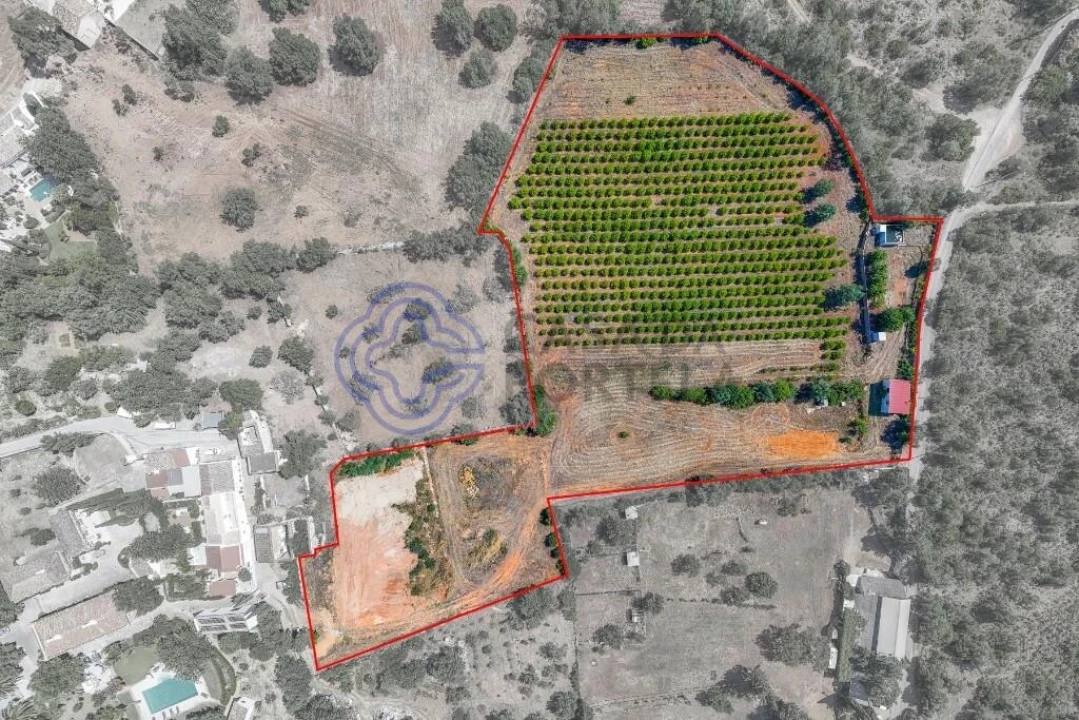 Terreno para Venda em Almancil Foto 15