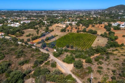 Terreno para Venda em Almancil