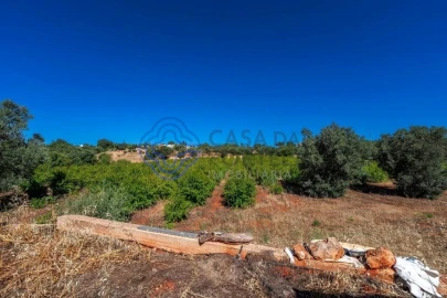 Terreno para Venda em Almancil