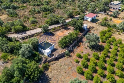 Terreno para Venda em Almancil